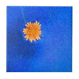 一輪のオレンジ色の花 タイル
