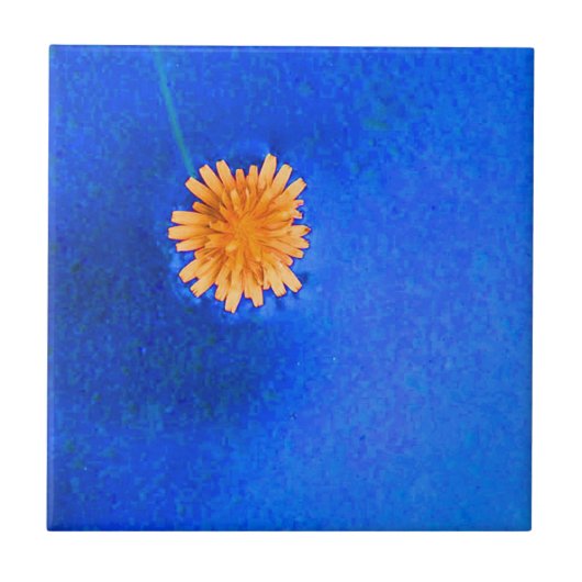 一輪のオレンジ色の花 タイル (正面)