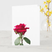 一輪の赤い薔薇 カード (黄色い花)