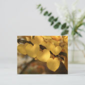 一連のハート ポストカード (スタンド正面)