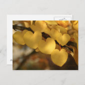 一連のハート ポストカード (正面/裏面)