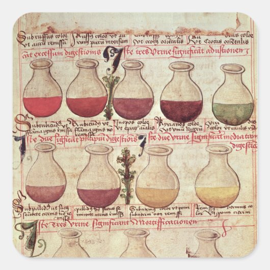 一連の尿の分析のためのフラッグ スクエアシール (正面)