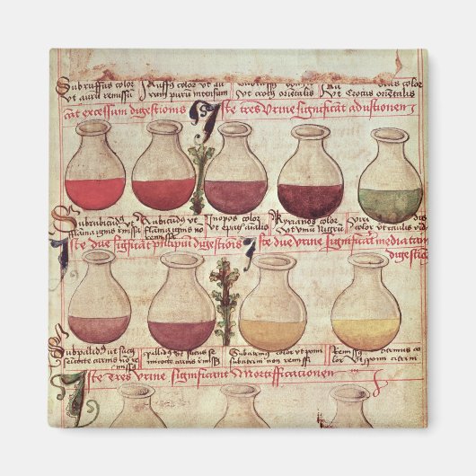 一連の尿の分析のためのフラッグ マグネット (正面)