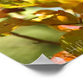 一連の金ゴールドとオレンジの紅葉 ポスター (角)