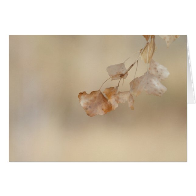 一連の黄金葉 (正面横)