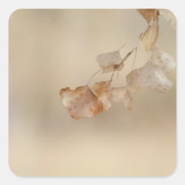 一連の黄金葉 スクエアシール