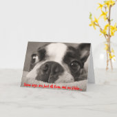 一部の日は全てのノミとキブルがない カード (黄色い花)