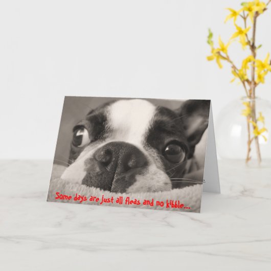 一部の日は全てのノミとキブルがない カード (黄色い花)