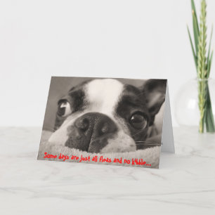 一部の日は全てのノミとキブルがない カード