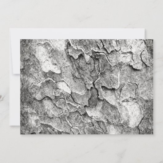 一部の自然はこちら 招待状 (正面)