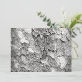 一部の自然はこちら 招待状 (スタンド正面)