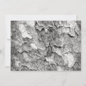 一部の自然はこちら 招待状 (裏面)