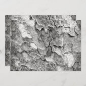 一部の自然はこちら 招待状 (正面/裏面)