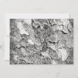 一部の自然はこちら 招待状