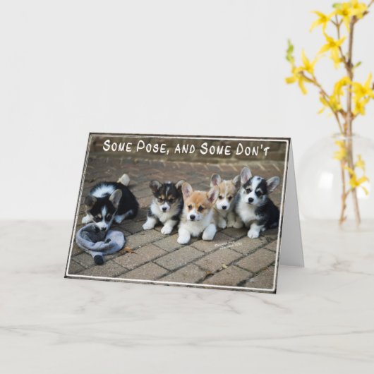 一部は、いくつか続けて~のコーギーの子犬提起します カード (黄色い花)