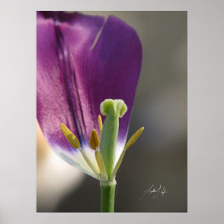 一離れ ポスター