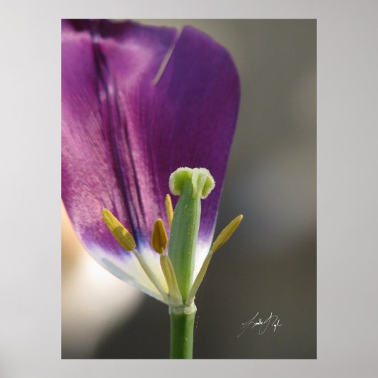 一離れ ポスター (正面)