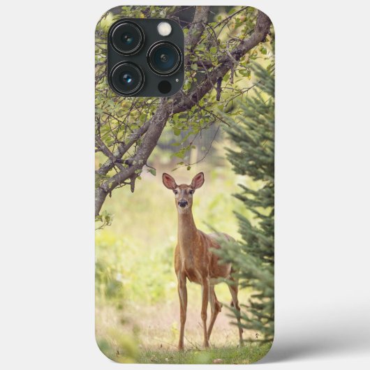 一頭の鹿 Case-Mate iPhoneケース (裏面)