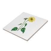 一黄デイジーセラミックタイル タイル (側面)