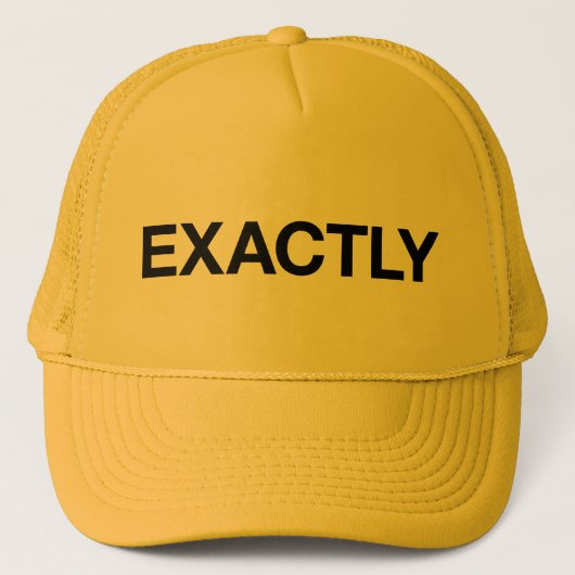 丁度おもしろいのスローガンのトラック運転手の帽子 キャップ (正面)