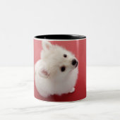 丁重ののポメラニア犬 ツートーンマグカップ (中央)