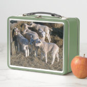 七つの飢えた子羊 メタルランチボックス (インサイチュ)