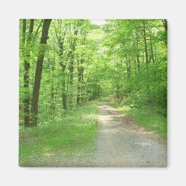 七春磁石 マグネット