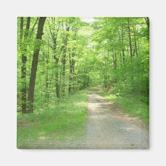 七春磁石 マグネット (正面)