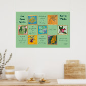 七種またはシバットミニム ポスター (キッチン)