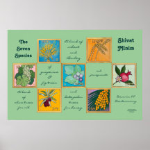 七種またはシバットミニム