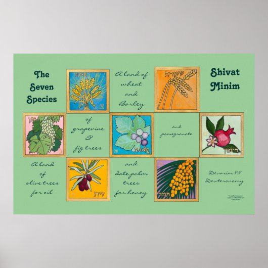 七種またはシバットミニム ポスター (正面)