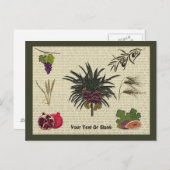 七種 ポストカード (正面/裏面)