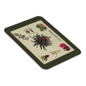 七種 マグネット (右側)