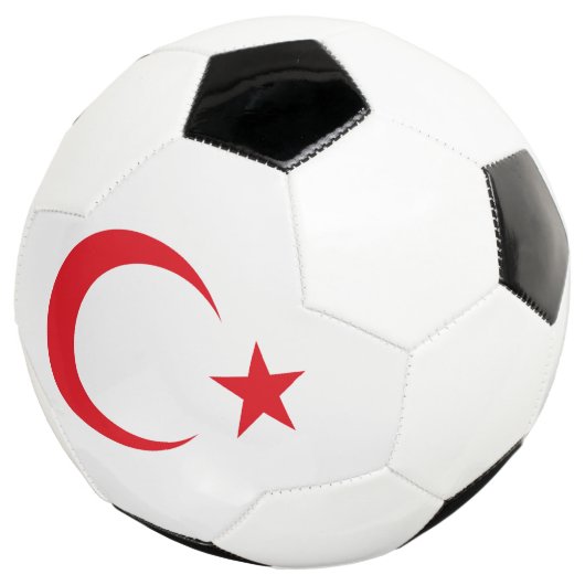 七面紋章 サッカーボール (3/4)