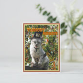 七面鳥か？巡礼猫 ポストカード (スタンド正面)