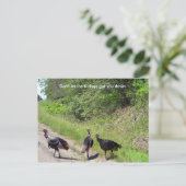 七面鳥に葉書を下ろすな ポストカード (スタンド正面)