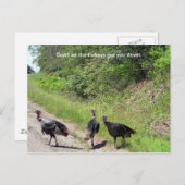 七面鳥に葉書を下ろすな ポストカード (正面/裏面)