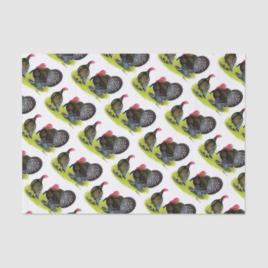 七面鳥のブロッド・ブロンズ 薄葉紙 (正面)