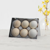 七面鳥の卵 カード (黄色い花)