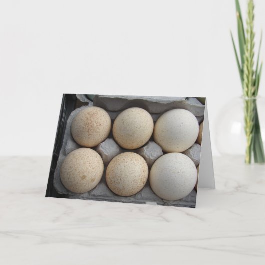 七面鳥の卵 カード (正面)