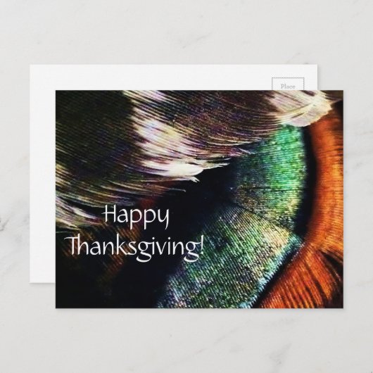 七面鳥の尾の羽アート写真ハッピー感謝祭 シーズンポストカード (正面/裏面)