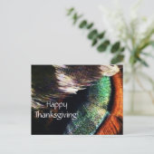 七面鳥の尾の羽アート写真ハッピー感謝祭 シーズンポストカード (スタンド正面)
