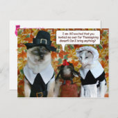 七面鳥の感謝祭に登場する猫たち シーズンポストカード (正面/裏面)