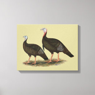 七面鳥の東ワイルドペア キャンバスプリント