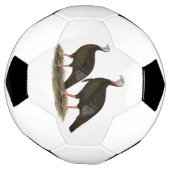 七面鳥の東ワイルドペア サッカーボール (回転)