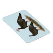 七面鳥の東ワイルドペア マグネット (右側)