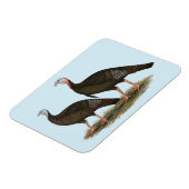 七面鳥の東ワイルドペア マグネット (左側)