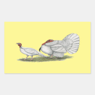 七面鳥の白いオランダ 長方形シール