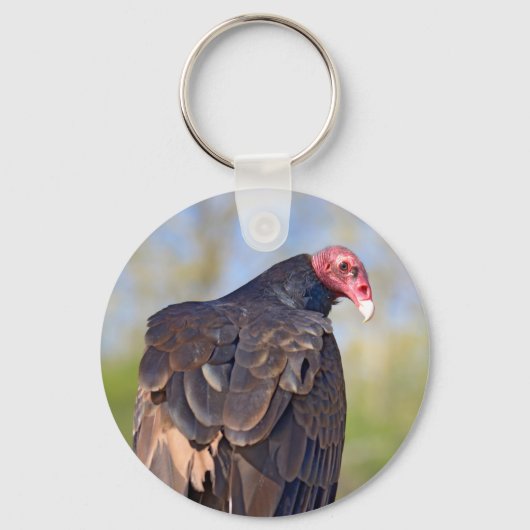 七面鳥の禿頭が幹に突き出ている キーホルダー (正面)