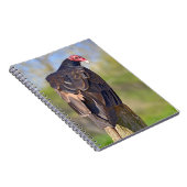 七面鳥の禿頭が幹に突き出ている ノートブック (右側)